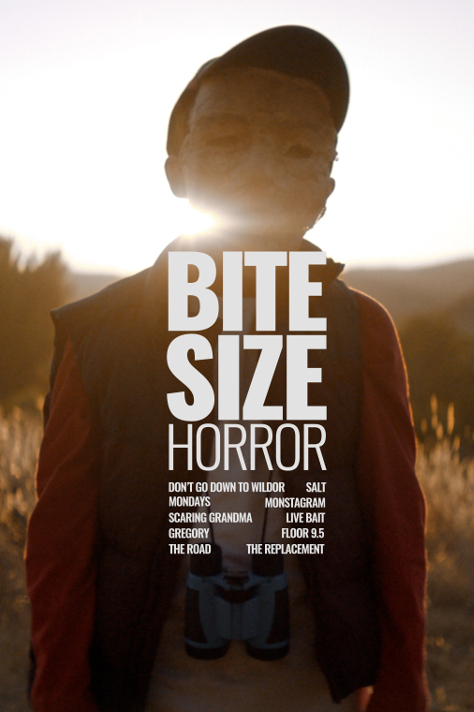 BSH poster - vertical